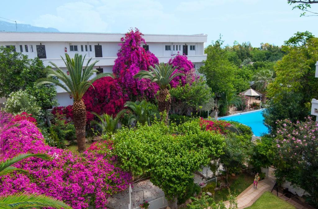 Siagas Beach Hotel Agioi Theodoroi Exteriör bild